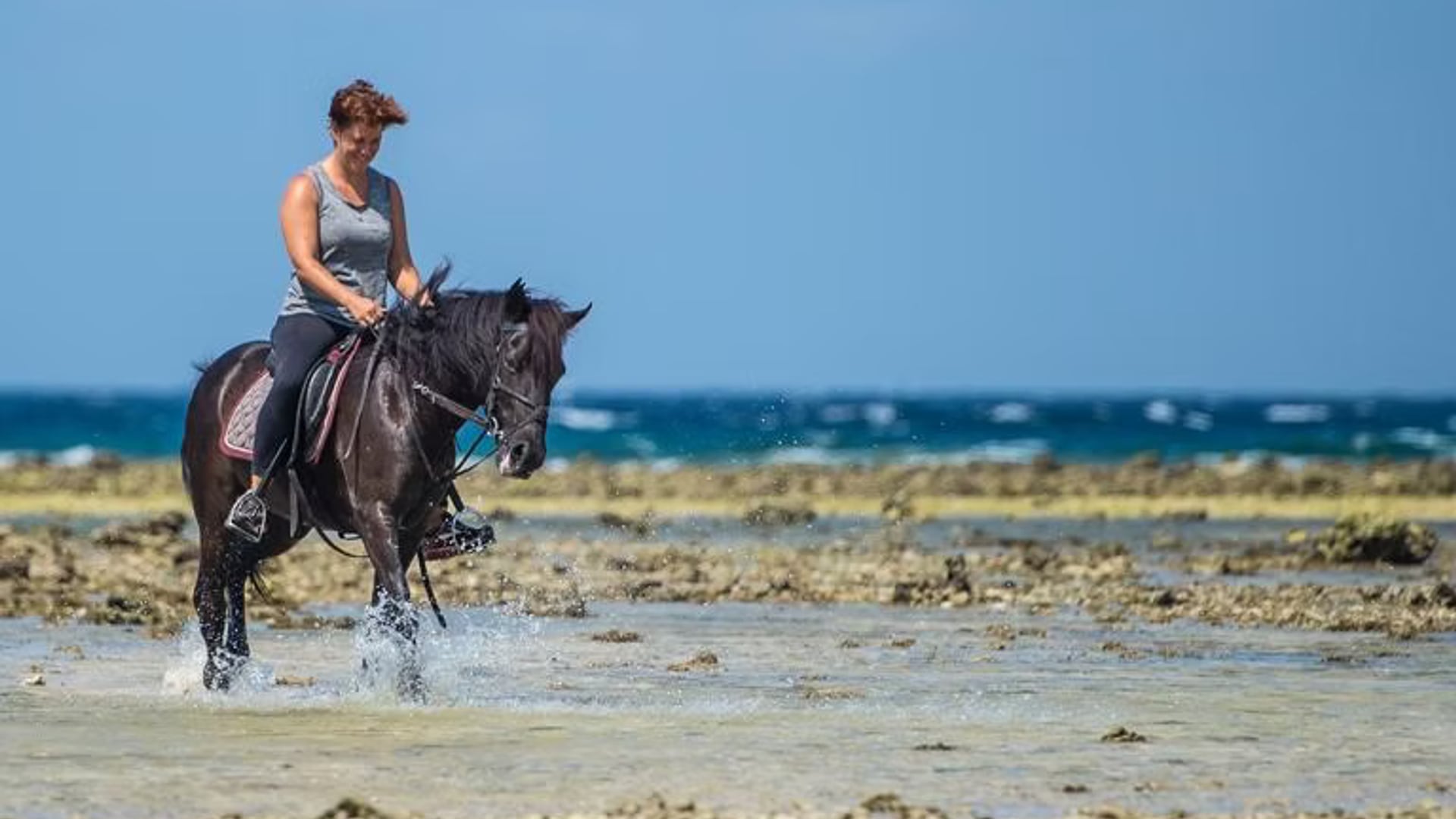 Horse riding on the island